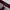 [ NETT ] The Children's Place Maroon Chino 4 Years photo 2