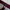 [ NETT ] The Children's Place Maroon Chino 4 Years