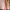Salmon Maxi Dress