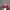 Vintage Streetwear Hat Pria Red photo 1