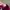 Vintage Streetwear Hat Pria Red