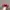 Vintage Streetwear Hat Pria Red photo 4