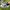 Nike Court Vision Low Next Nature Women photo 6