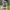 Nike Court Vision Low Next Nature Women photo 7