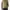 Muji down size XL wanita G018 photo 1