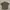 Groove Rhyme Short Sleeve shirt  photo 2