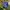 Orlo Rho top Off shoulder Navy photo 3