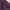 Ziper crop photo 2