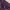 Ziper Crop