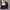 Moncler Pantalone Trousers Pants