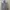 Ecinos Lawyer Fitted Shirt photo 1