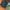 Crop Top Adidas Multicolor photo 3