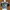 Crop Top Adidas Multicolor photo 1