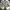 Jimmy Choo Y2K Avant Garde Sneakers Wanita white photo 4