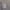 8Second Outer Canvas Big Pocket photo 6