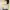 3mongkis bolero/outer (s) like newww photo 1
