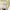 3mongkis bolero/outer (s) like newww photo 2
