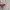 Richriver Outer photo 4