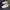 Nike Streetwear Y2K Sneakers Pria White Blue
