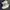 Nike Streetwear Y2K Sneakers Pria White