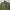 Made in USA Vintage Casual Parka Pria green photo 2