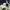 Puma Vintage Casual Sneakers Pria multicolor photo 7