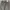Neighborhood Streetwear Jeans Pria gray photo 3