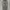Neighborhood Streetwear Jeans Pria gray photo 1