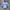 Jersey templet parma ac photo 1