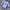 Jersey templet parma ac photo 2