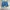 Jorts pants levis 508 photo 2