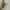 True Stalker - Sirhayani photo 5