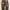 Corduroy pants army photo 4