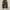 Corduroy pants army photo 1