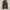 Corduroy Pants Army