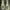 Vans sk8-mid Green unisex Army Green photo 1