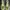 Vans Sk8-mid Green Unisex Army Green