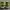 Vans sk8-mid Green unisex Army Green photo 5