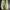 Vans sk8-mid Green unisex Army Green photo 3