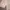 Crop Cardigan Cream photo 5