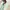 Casual Cardigan Wanita green white photo 3