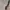 Coach Luxury Minimalist Tote bag Wanita black brown photo 3