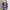 CONVERSE Men's Women Cardigan Stripe Big Logo No Uniqlo ZARA photo 2