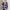 CONVERSE Men's Women Cardigan Stripe Big Logo No Uniqlo ZARA