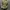 Youth & Coats Vintage US Army Jungle Fatigue Jacket Stretch photo 3