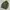 Youth & Coats Vintage US Army Jungle Fatigue Jacket Stretch photo 5