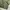 Youth & Coats Vintage US Army Jungle Fatigue Jacket Stretch photo 8