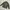 Youth & Coats Camo Pattern Tiger Stripe Jungle Fatigue photo 8
