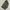 Youth & Coats Camo Pattern Tiger Stripe Jungle Fatigue photo 5