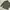 Youth & Coats Camo Pattern Tiger Stripe Jungle Fatigue photo 3